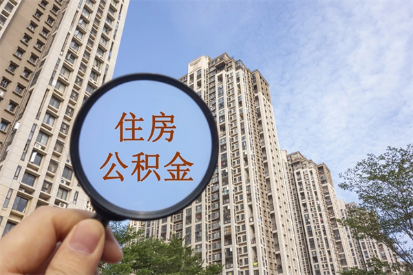 金昌公积金离职了可以取多少（金昌公积金离职了可以取多少钱一个月）